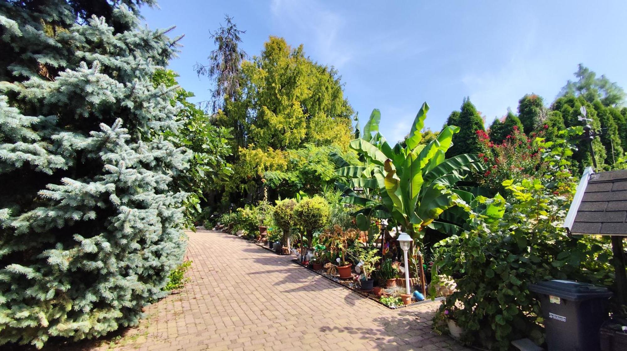 Katica Vendeghaz Daire Siofok Dış mekan fotoğraf